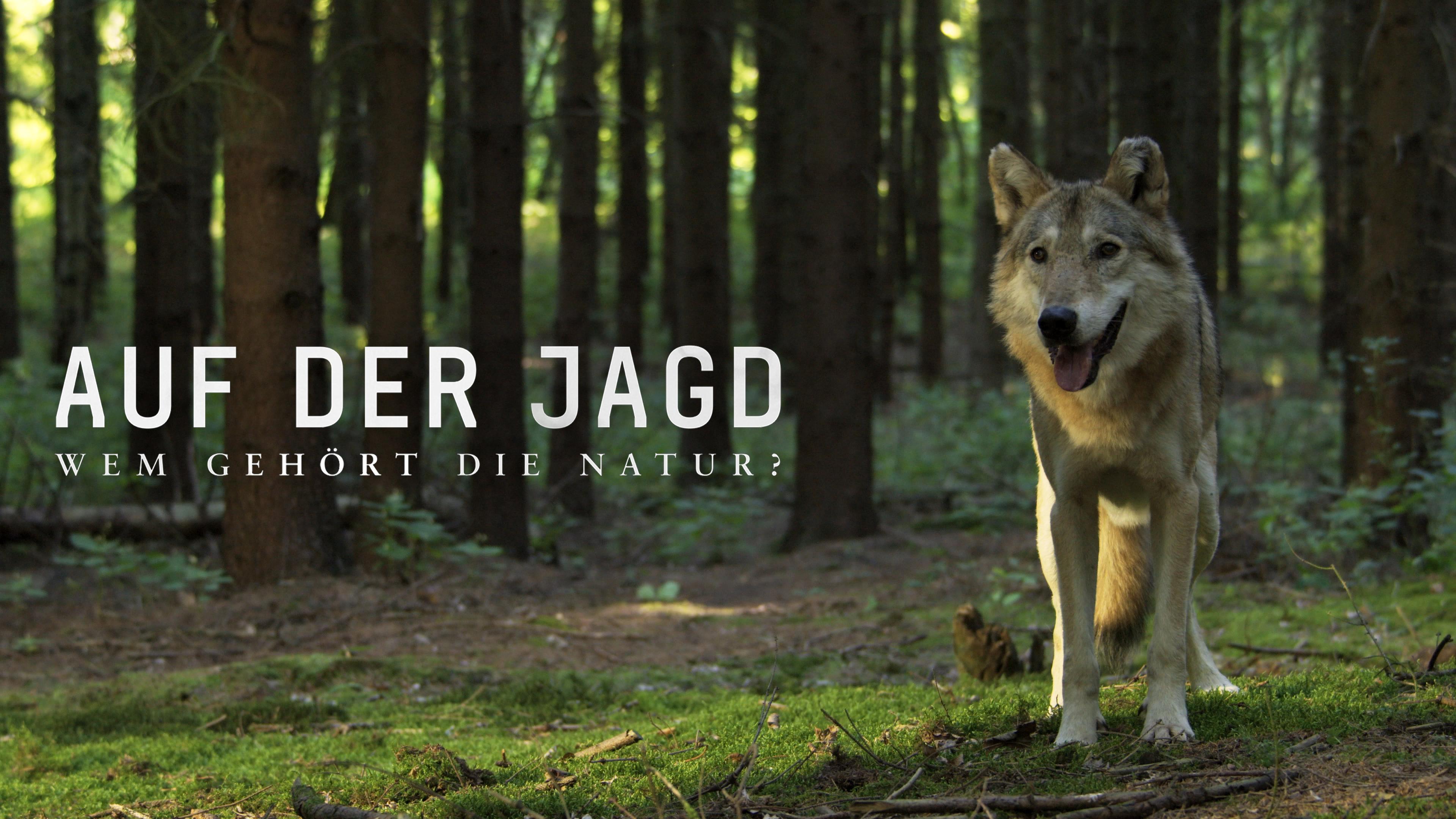 Auf der Jagd - Wem gehört die Natur?