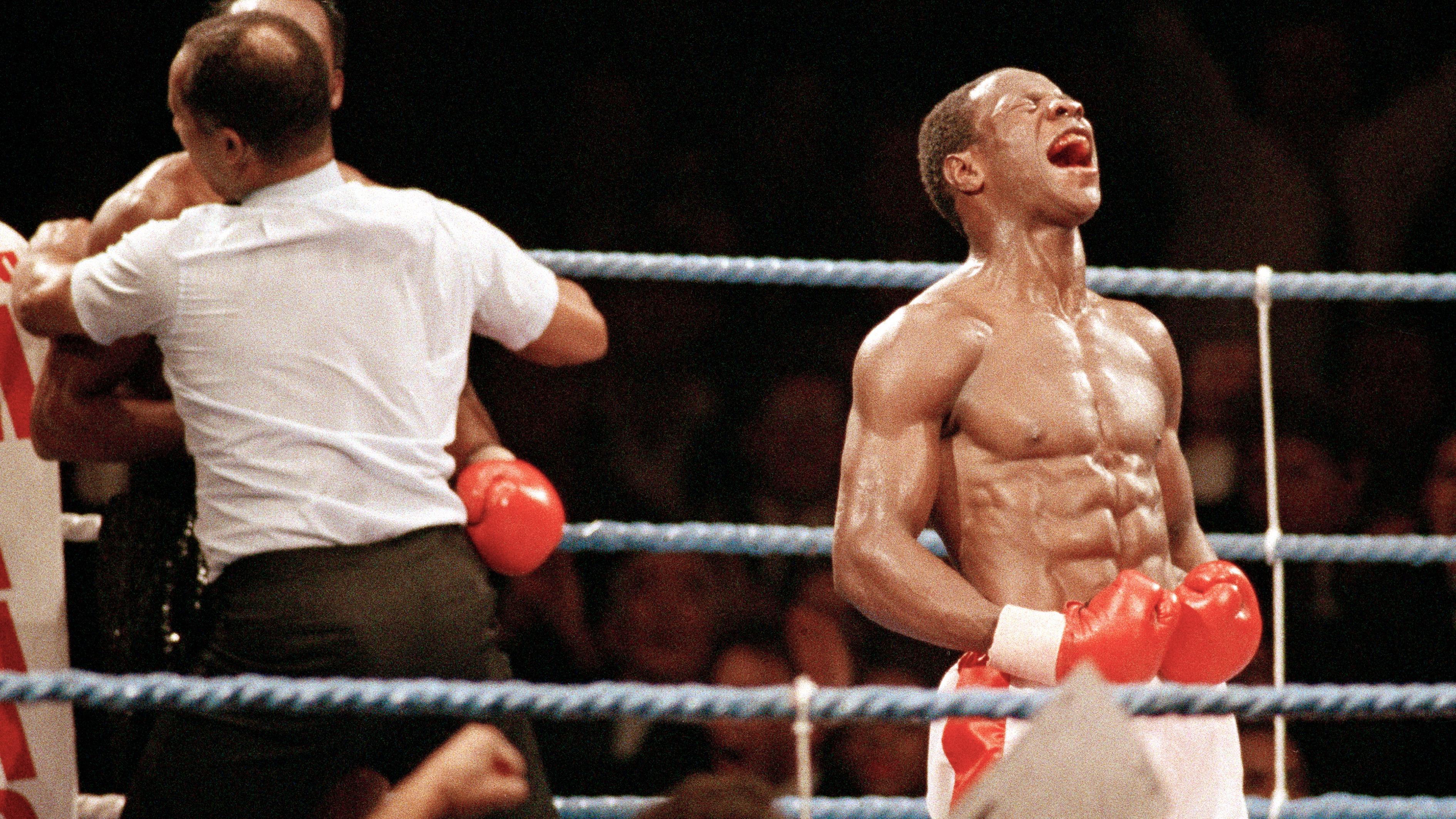 Four Kings - Legenden im Ring