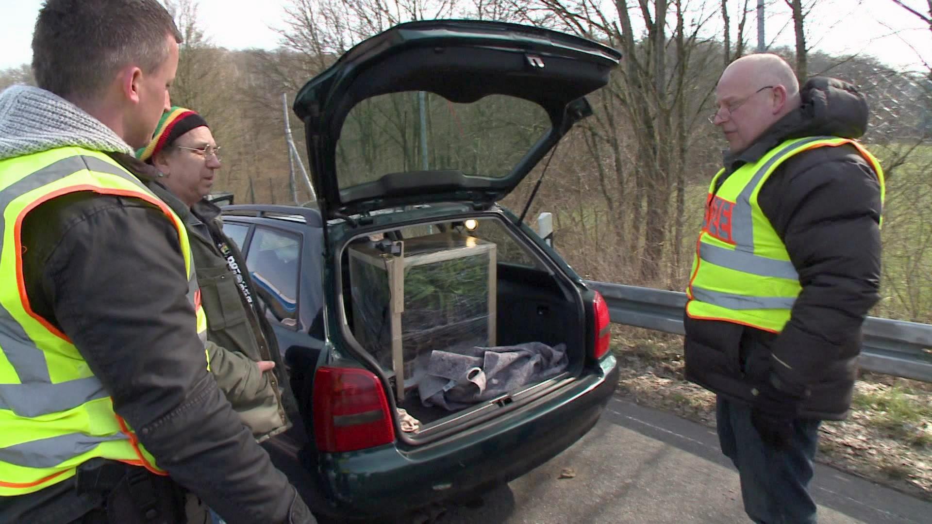 Schneller als die Polizei erlaubt