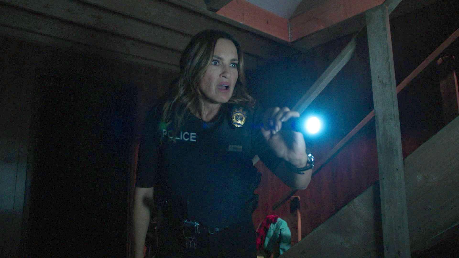 Law & Order: Special Victims Unit