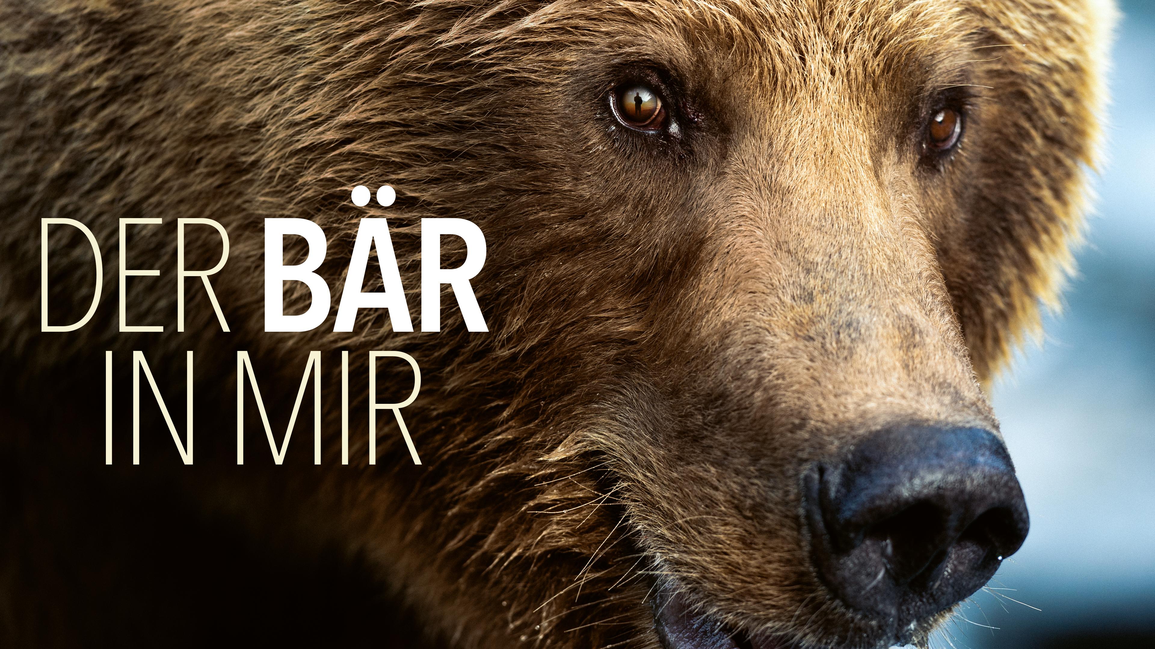 Der Bär in mir