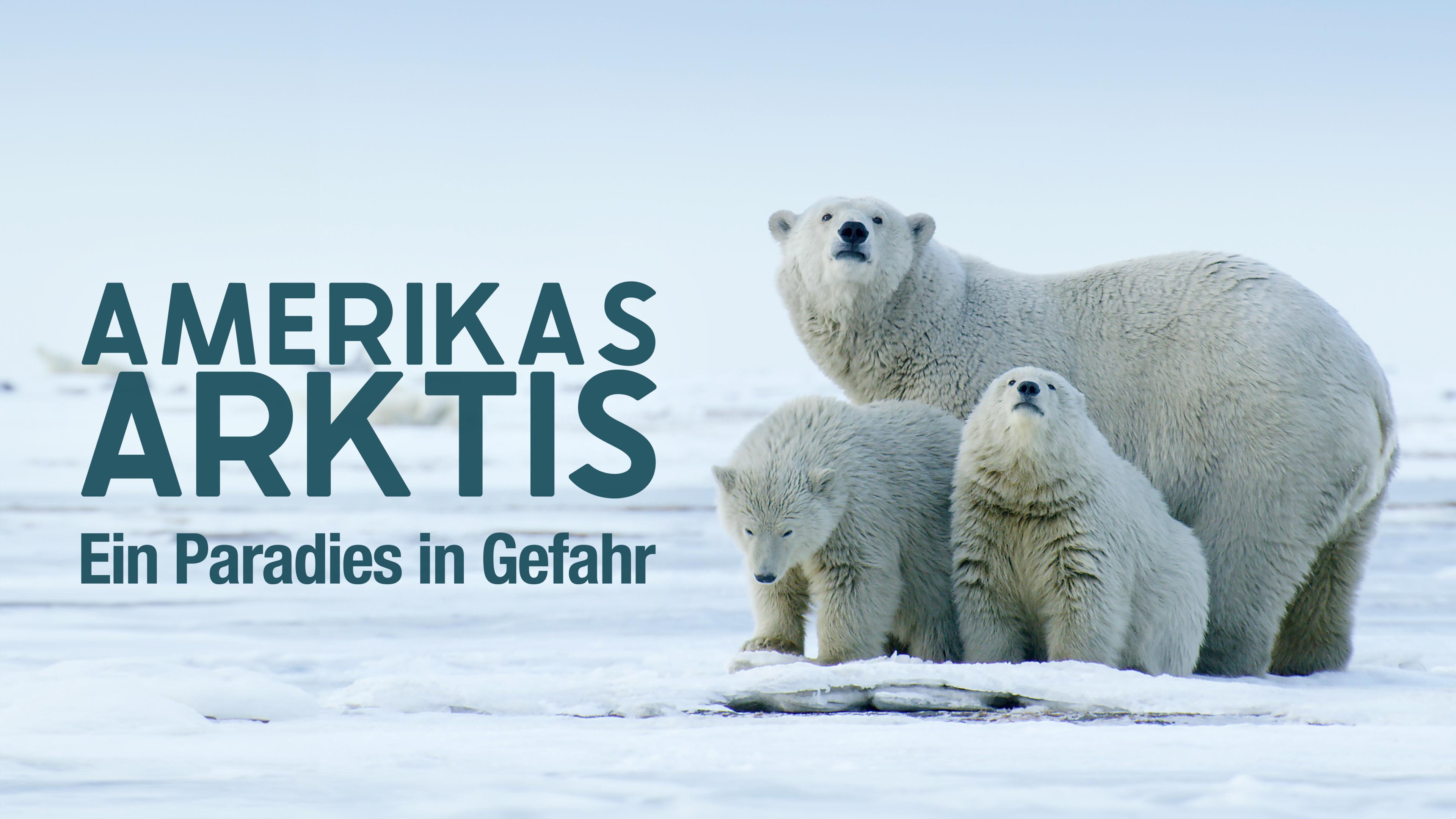 Amerikas Arktis - Ein Paradies in Gefahr